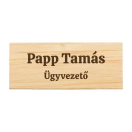 Névkítűző